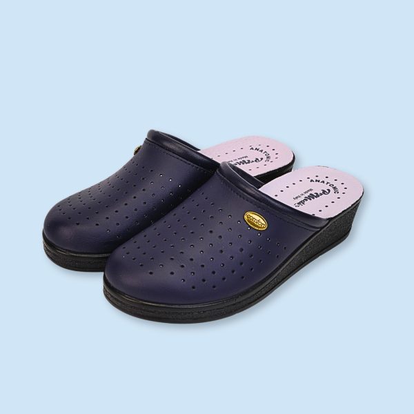 Жіночі сабо ProMedix 707 Сині